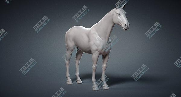 images/goods_img/20210312/Horse Base Mesh 3D model/4.jpg
